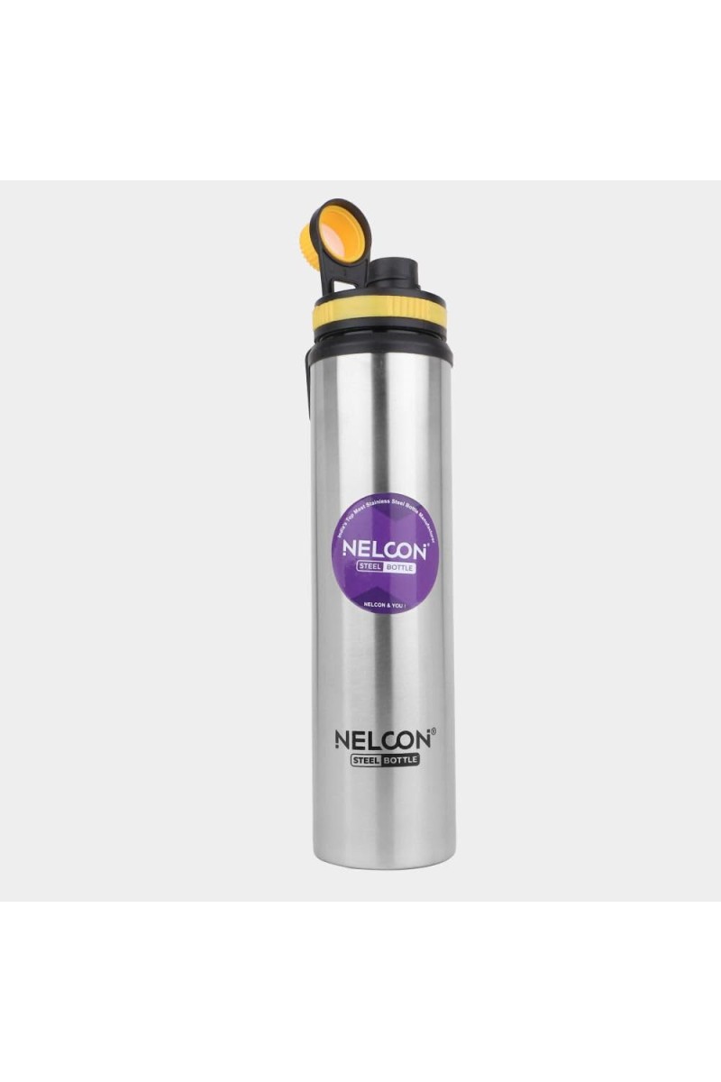 850 ml Steel Bottle 2.5 X 11.5 in. (Pack of 1)