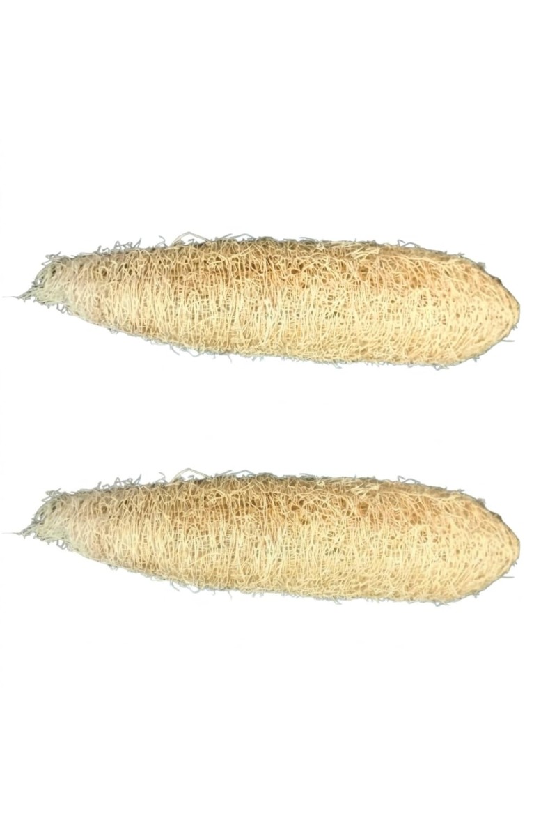 Natural Loofah Sponge for Bath & Body Scrubbing | 100% Organic Luffa Exfoliating Sponge | Eco-Friendly Shower Scrubber for Skin Care & Cleaning (Pack of 2)