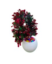 HI TECH Sales Artificial Bonsai Plant with Decorative Pot – Tree with Red & Green Leaves | Home & Office Decor, Tabletop Indoor Plant