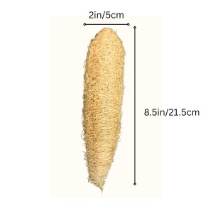 Natural Loofah Sponge for Bath & Body Scrubbing | 100% Organic Luffa Exfoliating Sponge | Eco-Friendly Shower Scrubber for Skin Care & Cleaning (Pack of 2) Natural Loofah Sponge for Bath & Body Scrubbing | 100% Organic Luffa Exfoliating Sponge | Eco-Friendly Shower Scrubber for Skin Care & Cleaning (Pack of 2)