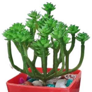 HiTechMart Artificial Succulent Plant in Red Pot – Lifelike Decorative Faux Greenery with Vibrant Pebbles for Home, Office, and Table Decor HiTechMart Artificial Succulent Plant in Red Pot – Lifelike Decorative Faux Greenery with Vibrant Pebbles for Home, Office, and Table Decor