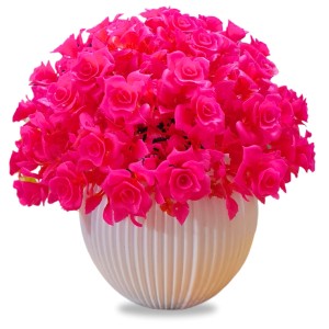 HiTechMart Artificial Rose Flower Arrangement in Vase – Lifelike Hot Pink Faux Roses for Home Décor, Office, Living Room, Table Centerpiece, and Gift – Elegant & Maintenance-Free