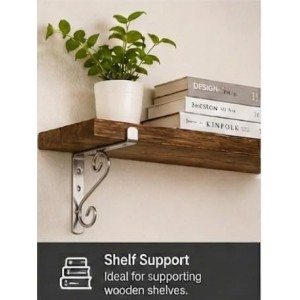 Heavy Duty Wall Mount Plant Hanger Hooks (Pack of 2) | Metal Hanging Basket Brackets for Flower Pots, Lanterns, Bird Feeders & Outdoor Garden DÃ©cor (Steel)