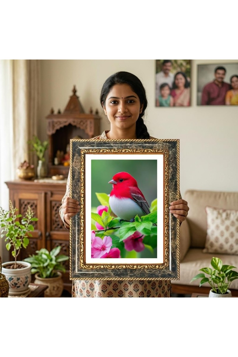 Red Bird Decorative Photo Frame With White Mount | Premium Wall & Tabletop Picture Frame | Home, Office & Temple Decoration | 8x12 Inch (Pack Of 1) (F31452)