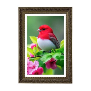 Northern Cardinal Big Photo Frame - 20x28 Inches For Home,Temple & Office Decoration (F11056)