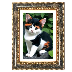 Mahatma Gandhi Decorative Photo Frame With White Mount | Premium Wall & Tabletop Picture Frame | Home, Office & Temple Decoration | 12x16 Inch (Pack Of 1) (F31359) Mahatma Gandhi Decorative Photo Frame With White Mount | Premium Wall & Tabletop Picture Frame | Home, Office & Temple Decoration | 12x16 Inch (Pack Of 1) (F31359)
