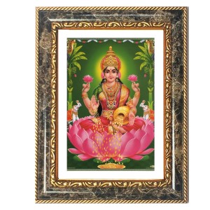 Parrot Decorative Photo Frame With White Mount | Premium Wall & Tabletop Picture Frame | Home, Office & Temple Decoration | 12x16 Inch (Pack Of 1) (F31335)