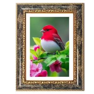 Red Bird Decorative Photo Frame With White Mount | Premium Wall & Tabletop Picture Frame | Home, Office & Temple Decoration | 8x12 Inch (Pack Of 1) (F31452)