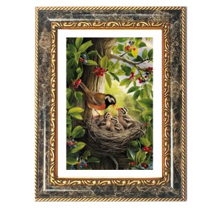 Bird Nest Decorative Photo Frame With White Mount | Premium Wall & Tabletop Picture Frame | Home, Office & Temple Decoration | 8x12 Inch (Pack Of 1) (F31437) Bird Nest Decorative Photo Frame With White Mount | Premium Wall & Tabletop Picture Frame | Home, Office & Temple Decoration | 8x12 Inch (Pack Of 1) (F31437)