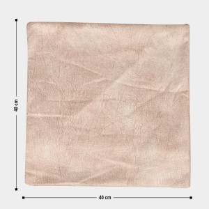 Home Beautiful Beige Polyester Cushion Cover Home Beautiful Beige Polyester Cushion Cover