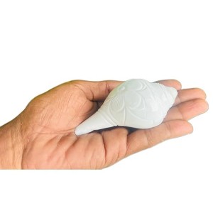 Jal Shankha for Pooja White Conch Shell with Golden Stand Spiritual Vastu for Home Temple Natural Sankha for Ritual Use (Small Size, Pack of 1) Jal Shankha for Pooja White Conch Shell with Golden Stand Spiritual Vastu for Home Temple Natural Sankha for Ritual Use (Small Size, Pack of 1)