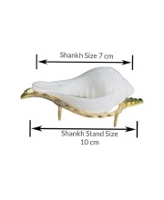 Jal Shankha for Pooja White Conch Shell with Golden Stand Spiritual Vastu for Home Temple Natural Sankha for Ritual Use (Small Size, Pack of 1)