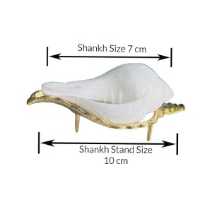 Jal Shankha for Pooja White Conch Shell with Golden Stand Spiritual Vastu for Home Temple Natural Sankha for Ritual Use (Small Size, Pack of 1) Jal Shankha for Pooja White Conch Shell with Golden Stand Spiritual Vastu for Home Temple Natural Sankha for Ritual Use (Small Size, Pack of 1)