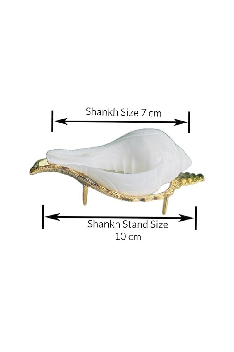 Jal Shankha for Pooja White Conch Shell with Golden Stand Spiritual Vastu for Home Temple Natural Sankha for Ritual Use (Small Size, Pack of 1)