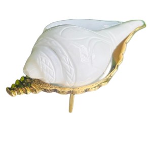 Jal Shankha for Pooja White Conch Shell with Golden Stand Spiritual Vastu for Home Temple Natural Sankha for Ritual Use (Small Size, Pack of 1) Jal Shankha for Pooja White Conch Shell with Golden Stand Spiritual Vastu for Home Temple Natural Sankha for Ritual Use (Small Size, Pack of 1)