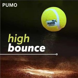 Hitech Sales - Pumo Cricket Tennis Ball | Lightweight Yellow Tennis Ball for Cricket Practice & Play | Durable and High Bounce Ball for Indoor & Outdoor Use (Medium, 2, Count) Hitech Sales - Pumo Cricket Tennis Ball | Lightweight Yellow Tennis Ball for Cricket Practice & Play | Durable and High Bounce Ball for Indoor & Outdoor Use (Medium, 2, Count)