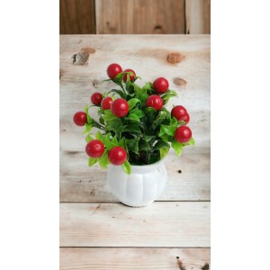 Hitech Artificial Flower Pot Red Cherry Tableware Home Decor Living Room Shop Office Bed Room Washroom & Gift Artificial Plant with Pot Pack of 1 (Red & Green) Hitech Artificial Flower Pot Red Cherry Tableware Home Decor Living Room Shop Office Bed Room Washroom & Gift Artificial Plant with Pot Pack of 1 (Red & Green)