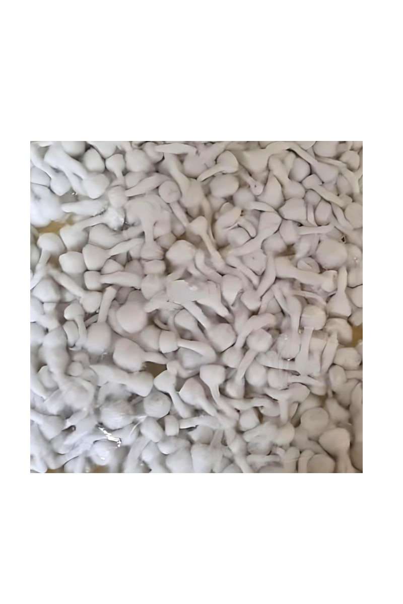 Hitech Sales Phool Batti Round Cotton Flame Wicks for Diya, GOL Batti for Puja, 1100 Pieces (Pack of 1, White)