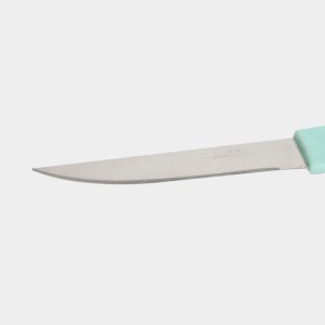 Steel Knife 23 cm Length (Pack of 1)