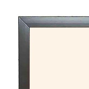 The parrot painting Black Photo Frame Funny Animal and Bird Cartoon Art The parrot painting Black Photo Frame Funny Animal and Bird Cartoon Art
