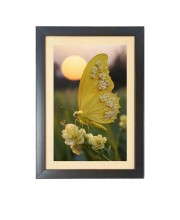 The beautiful yellow color butterfly Photo Frame Funny Animal and Bird Cartoon Art, Black color, 11x15 Inch