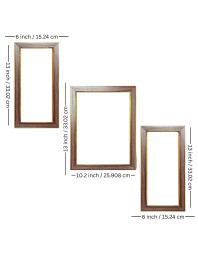 3-Pack Natureâ€™s Mirror Photo Frames - 2 Pieces 6x13 Inch & 1 Piece 10x13 Inch - Rustic Wall Art for Home & Office Decor - Botanical Wall Hanging for Living Room, Bedroom, or Workspace