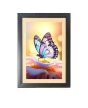 The beautiful butterfly Black Photo Frame Funny Animal and Bird Cartoon Art