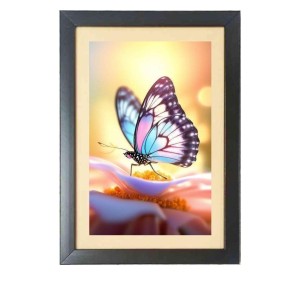 The beautiful butterfly Black Photo Frame Funny Animal and Bird Cartoon Art The beautiful butterfly Black Photo Frame Funny Animal and Bird Cartoon Art