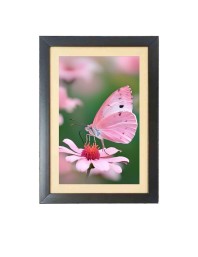 The pink color butterfly Photo Frame Funny Animal and Bird Cartoon Art, Black color, 17x21 Inch