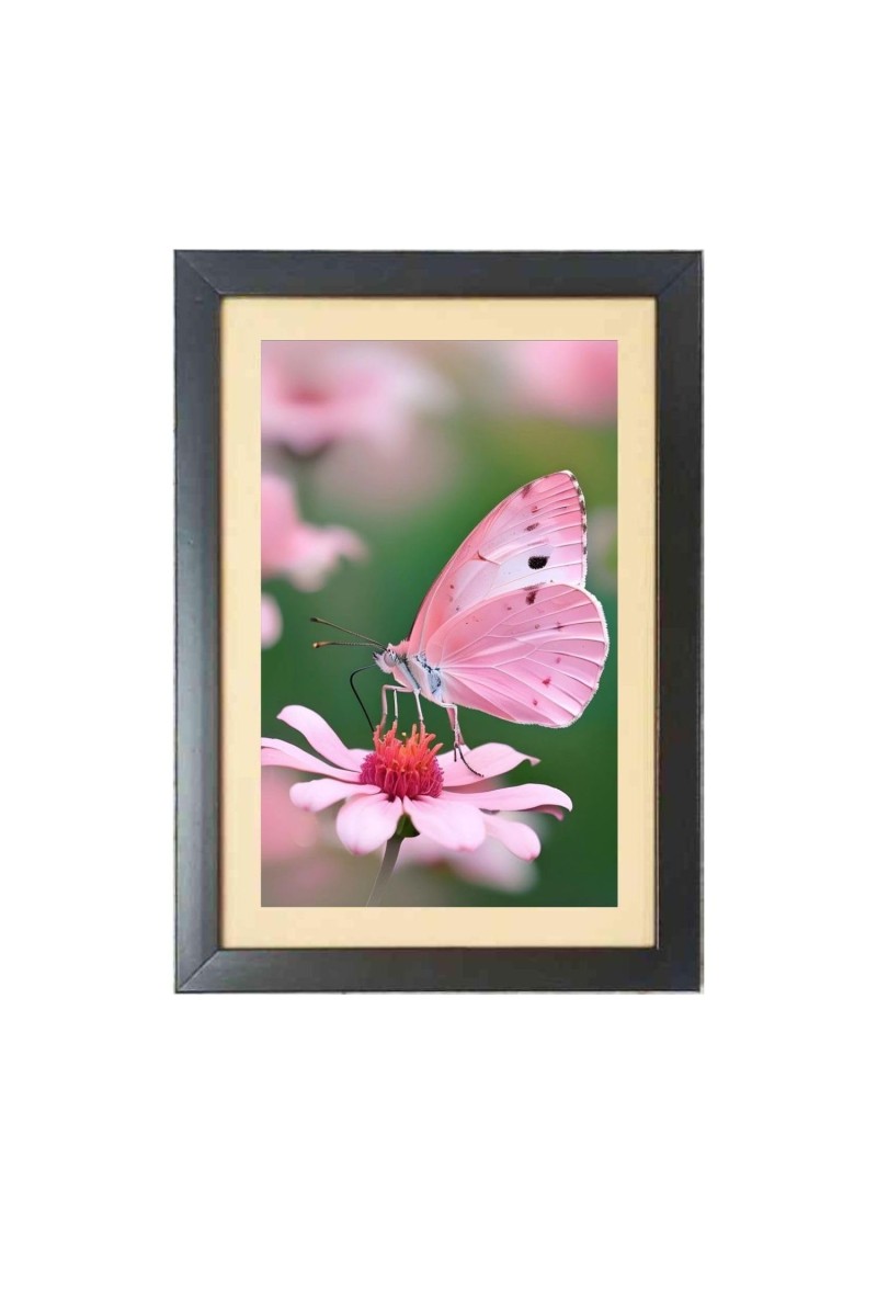 The pink color butterfly Photo Frame Funny Animal and Bird Cartoon Art, Black color, 17x21 Inch