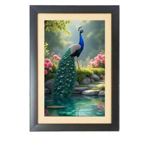 The beautiful peacock Black Photo Frame Funny Animal and Bird Cartoon Art The beautiful peacock Black Photo Frame Funny Animal and Bird Cartoon Art