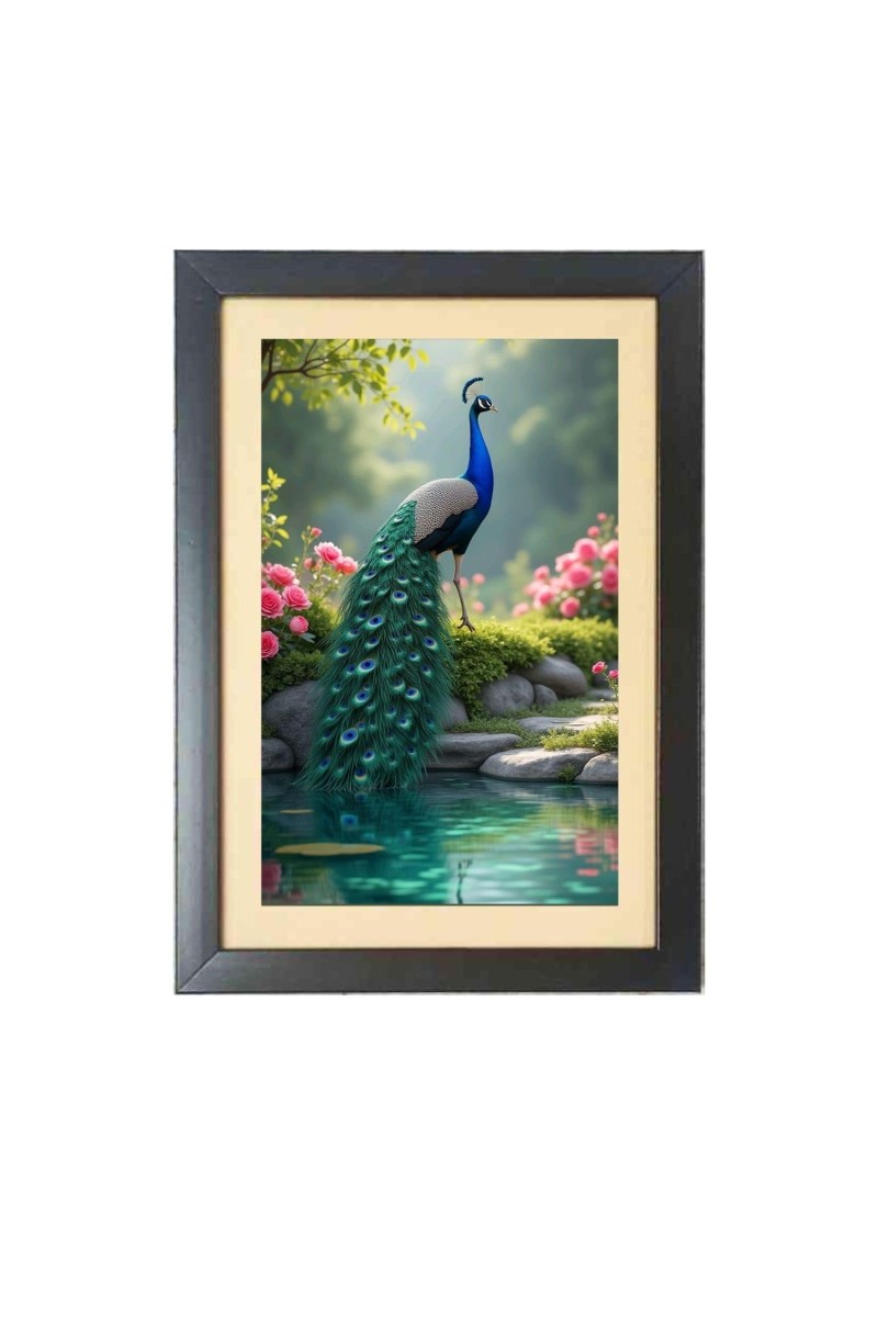 The beautiful peacock Photo Frame Funny Animal and Bird Cartoon Art, Black color, 17x21 Inch