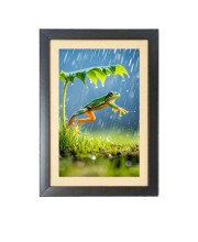 The funny frog is jumping Black Photo Frame Funny Animal and Bird Cartoon Art