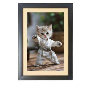 The cute cat is doing karate Black Photo Frame Funny Animal and Bird Cartoon Art The cute cat is doing karate Black Photo Frame Funny Animal and Bird Cartoon Art