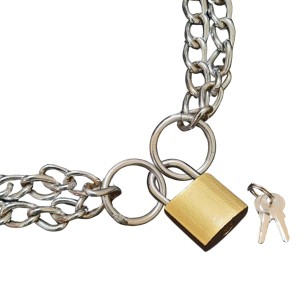 HiTechMart Heavy-Duty 4 ft Metal Chain with Mini 2 cm Padlock & Keys – Security Lock Chain for Multi-Purpose Use HiTechMart Heavy-Duty 4 ft Metal Chain with Mini 2 cm Padlock & Keys – Security Lock Chain for Multi-Purpose Use