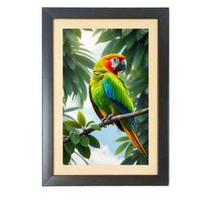 The beautiful bird Photo Frame Funny Animal and Bird Cartoon Art, Black color, 11x15 Inch The beautiful bird Photo Frame Funny Animal and Bird Cartoon Art, Black color, 11x15 Inch