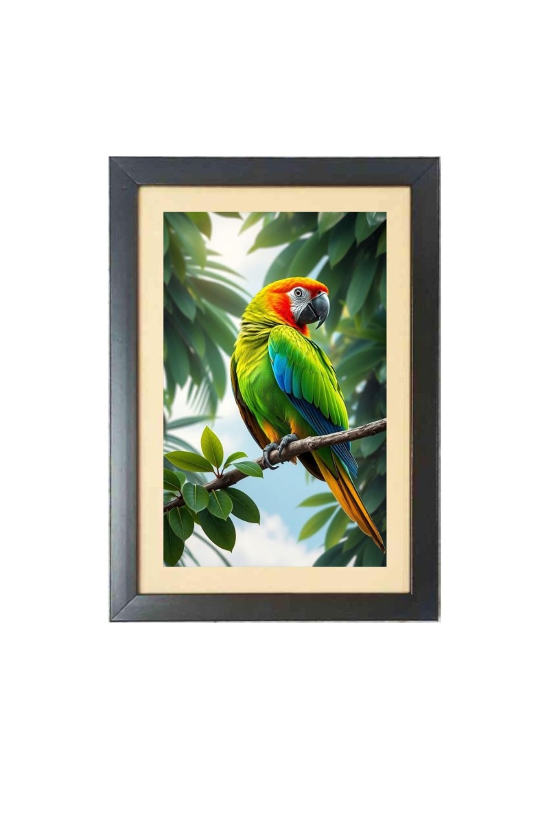 The beautiful bird Photo Frame Funny Animal and Bird Cartoon Art, Black color, 19x23 Inch