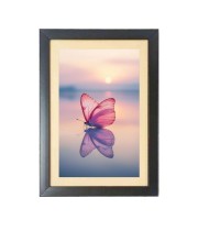 Beautiful butterfly flies in the sunset Black Photo Frame Funny Animal and Bird Cartoon Art Beautiful butterfly flies in the sunset Black Photo Frame Funny Animal and Bird Cartoon Art