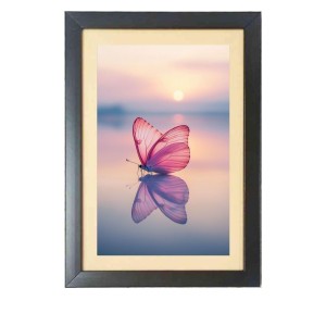 Beautiful butterfly flies in the sunset Black Photo Frame Funny Animal and Bird Cartoon Art Beautiful butterfly flies in the sunset Black Photo Frame Funny Animal and Bird Cartoon Art