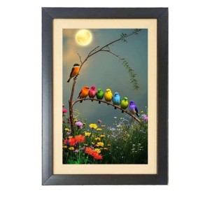 The different colorful birds Black Photo Frame Funny Animal and Bird Cartoon Art The different colorful birds Black Photo Frame Funny Animal and Bird Cartoon Art