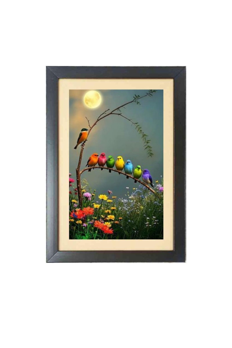 The different colorful birds Black Photo Frame Funny Animal and Bird Cartoon Art