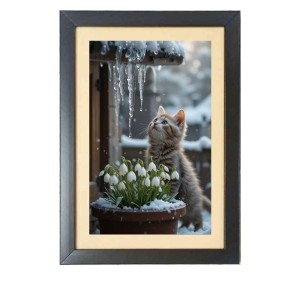 The cat is watching snow Black Photo Frame Funny Animal and Bird Cartoon Art The cat is watching snow Black Photo Frame Funny Animal and Bird Cartoon Art