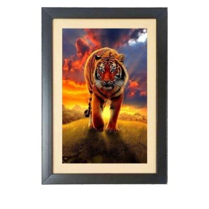 The wild tiger Black Photo Frame Funny Animal and Bird Cartoon Art The wild tiger Black Photo Frame Funny Animal and Bird Cartoon Art