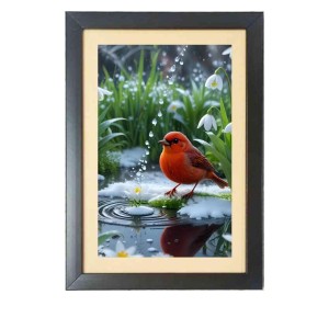The cute bird Photo Frame Funny Animal and Bird Cartoon Art, Black color, 11x15 Inch The cute bird Photo Frame Funny Animal and Bird Cartoon Art, Black color, 11x15 Inch