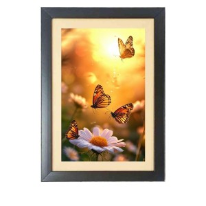 The beautiful butterflies Photo Frame Funny Animal and Bird Cartoon Art, Black color, 11x15 Inch