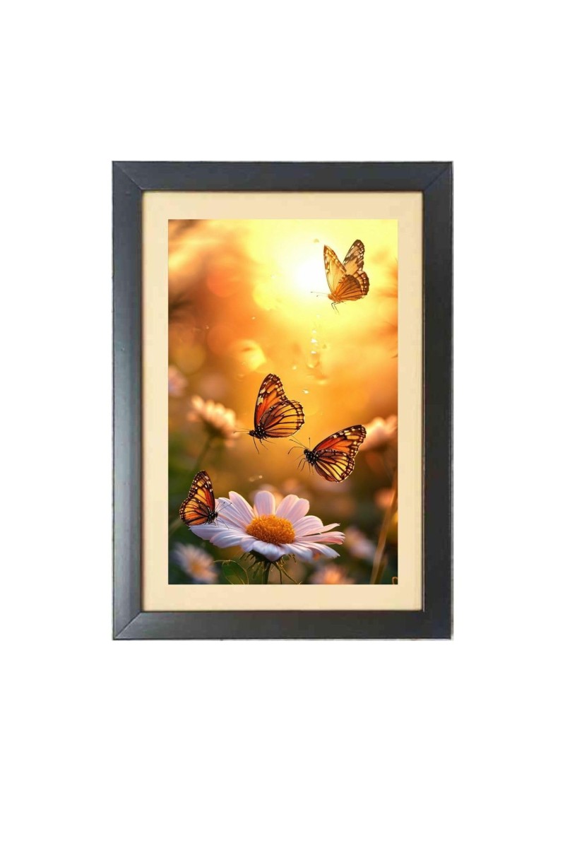 The beautiful butterflies Photo Frame Funny Animal and Bird Cartoon Art, Black color, 13x17 Inch