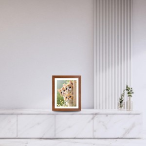 AI Funny Cute Cat Art Picture for Kids - 10x14 inches, Brown Color - Perfect Wall Decor for Children's Room