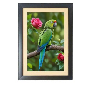The beautiful parrot Black Photo Frame Funny Animal and Bird Cartoon Art The beautiful parrot Black Photo Frame Funny Animal and Bird Cartoon Art