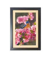 A Bird is sitting in a branch Black Photo Frame Funny Animal and Bird Cartoon Art A Bird is sitting in a branch Black Photo Frame Funny Animal and Bird Cartoon Art