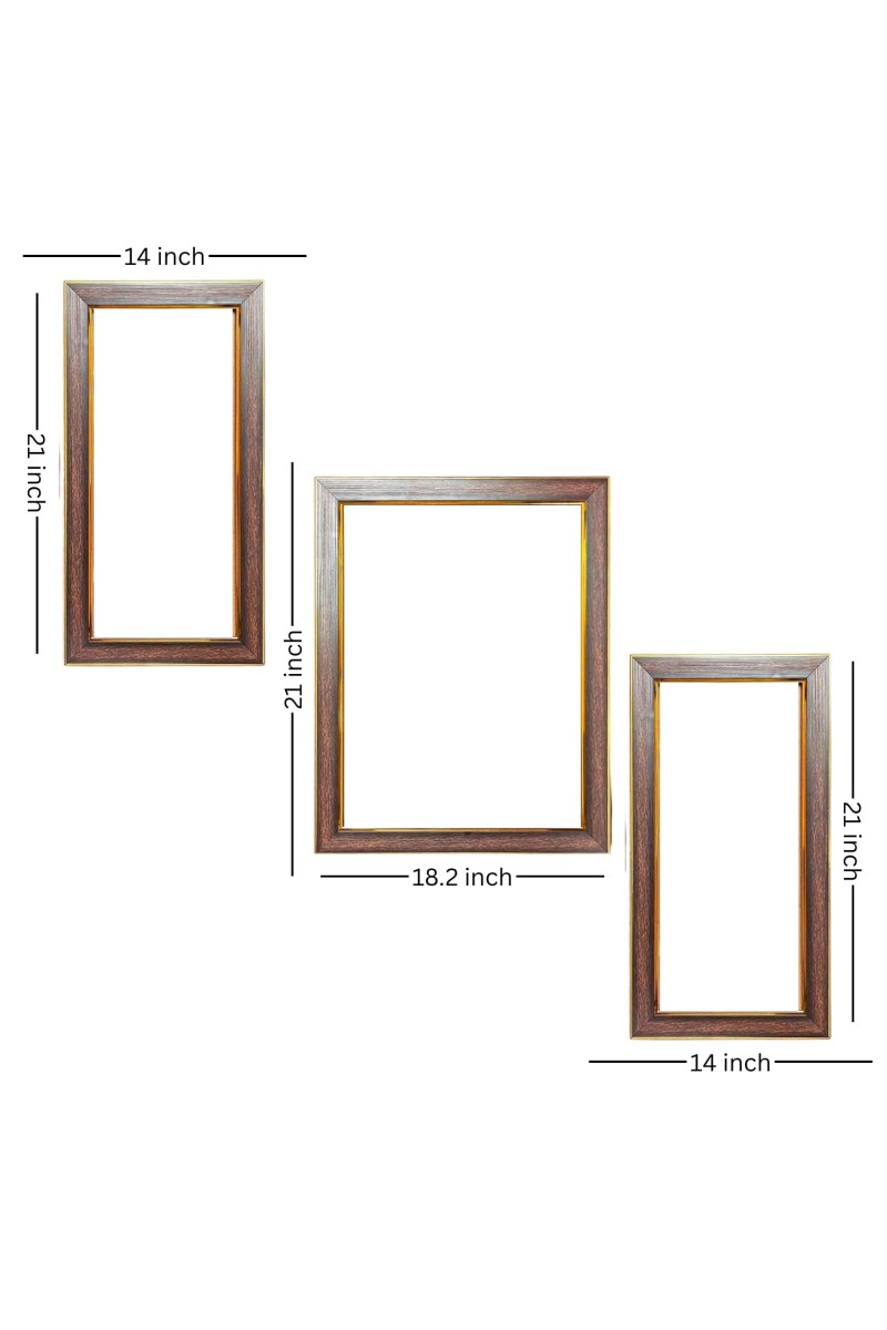 3-Pack Natureâ€™s Mirror Photo Frames - 2 Pieces 14x21 Inch & 1 Piece 18x21 Inch - Rustic Wall Art for Home & Office Decor - Botanical Wall Hanging for Living Room, Bedroom, or Workspace